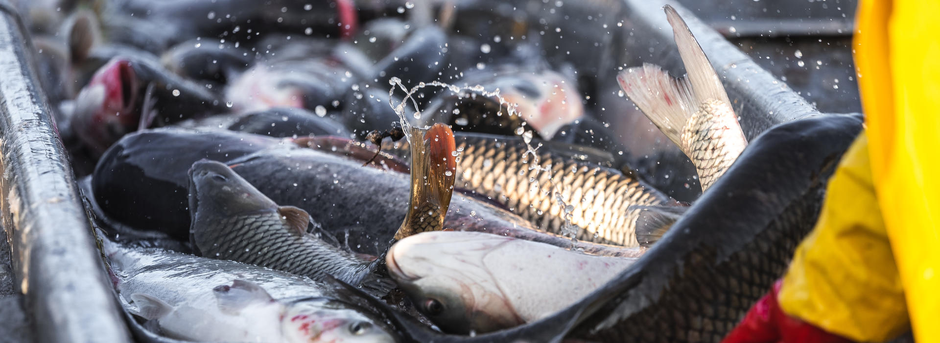 Commercial fishing vessel underway