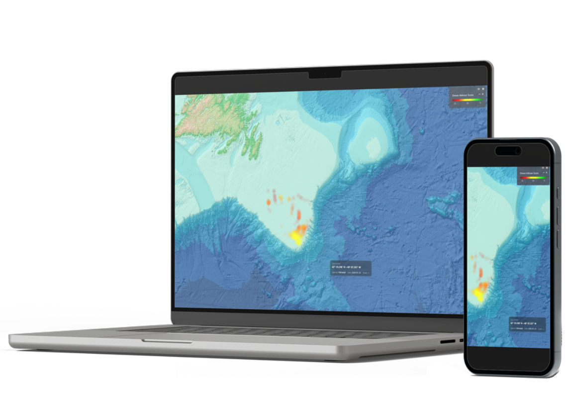 Probability-based Fishing Locations